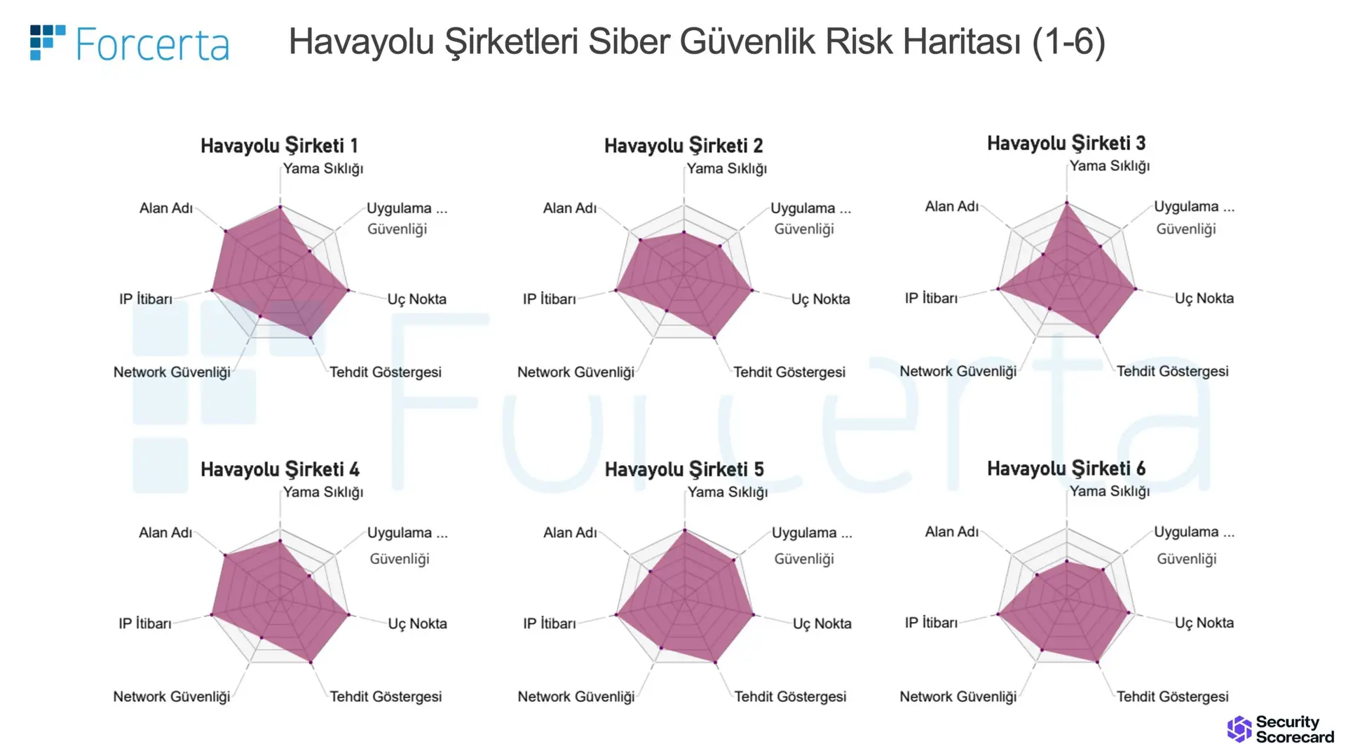 havayolu Şirketleri siber güvenlik risk İncelemesi