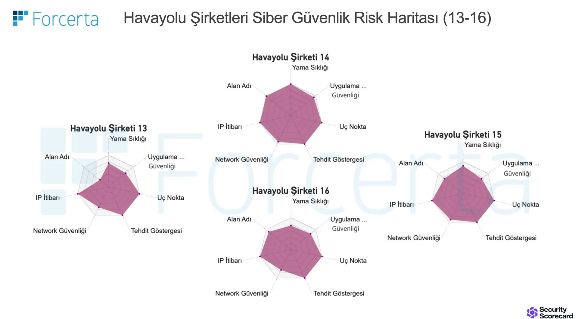 havayolu Şirketleri siber güvenlik risk İncelemesi